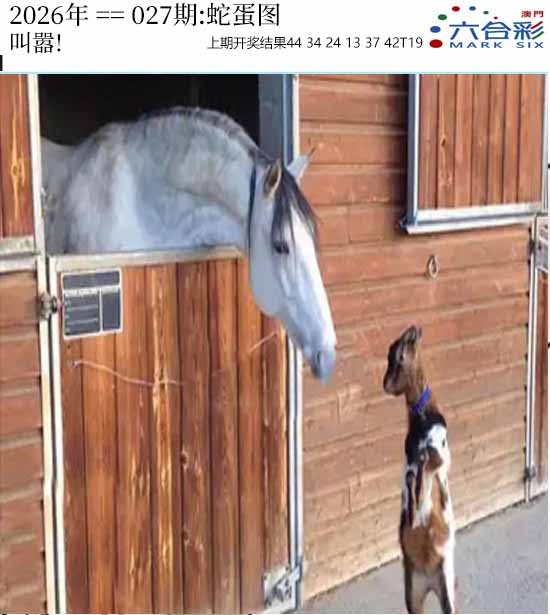 027期正版蛇蛋图[图]