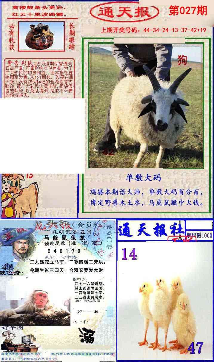 027期实力通天报[图]