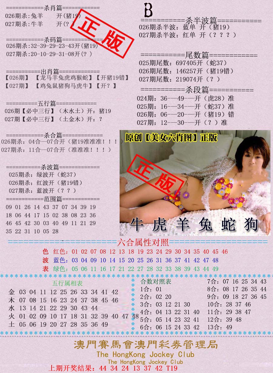 027期通缉令-2[图]