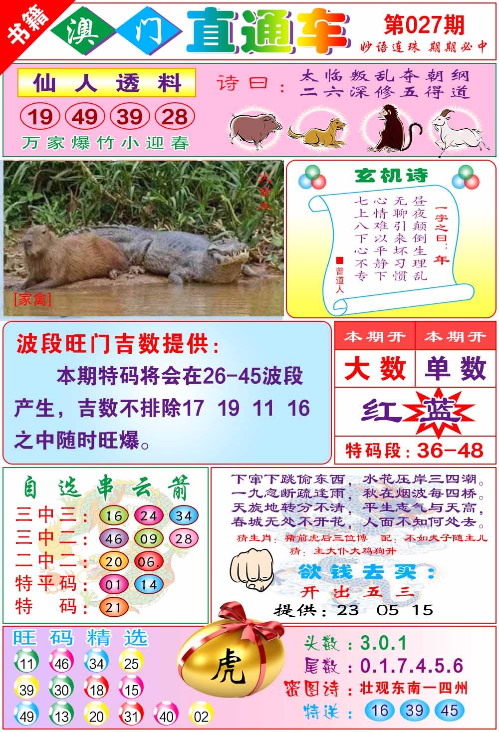 027期白姐直通车[图]