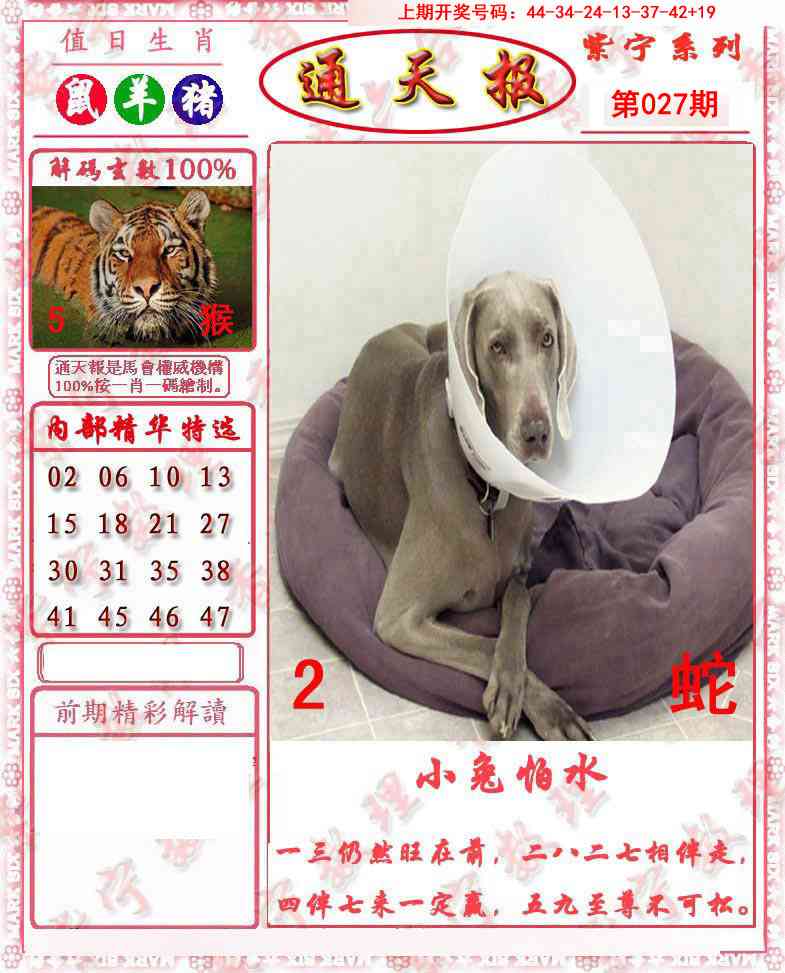 027期救通报[图]