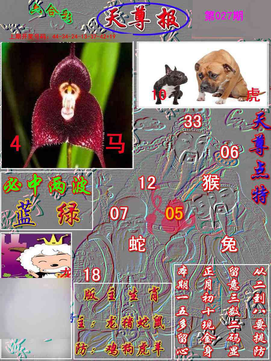 027期天尊报[图]