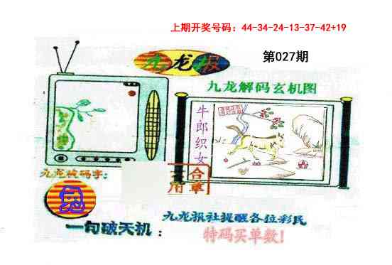 027期九龙报[图]