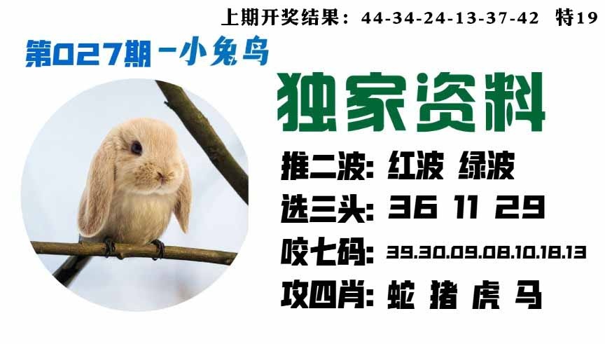 027期小兔鸟[图]