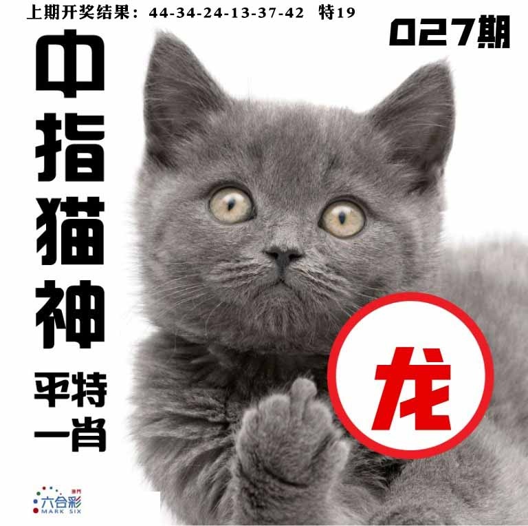 027期中指猫神[图]